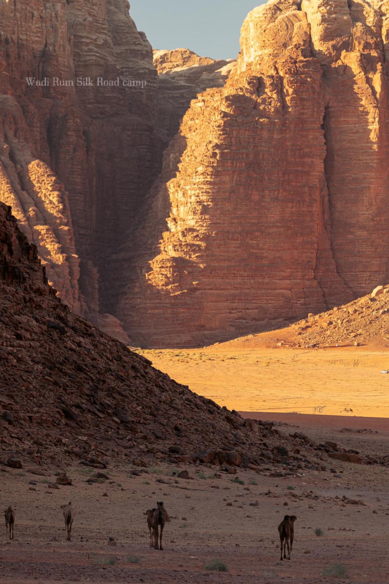 Wadi Rum Silk Road Camp Esterno foto