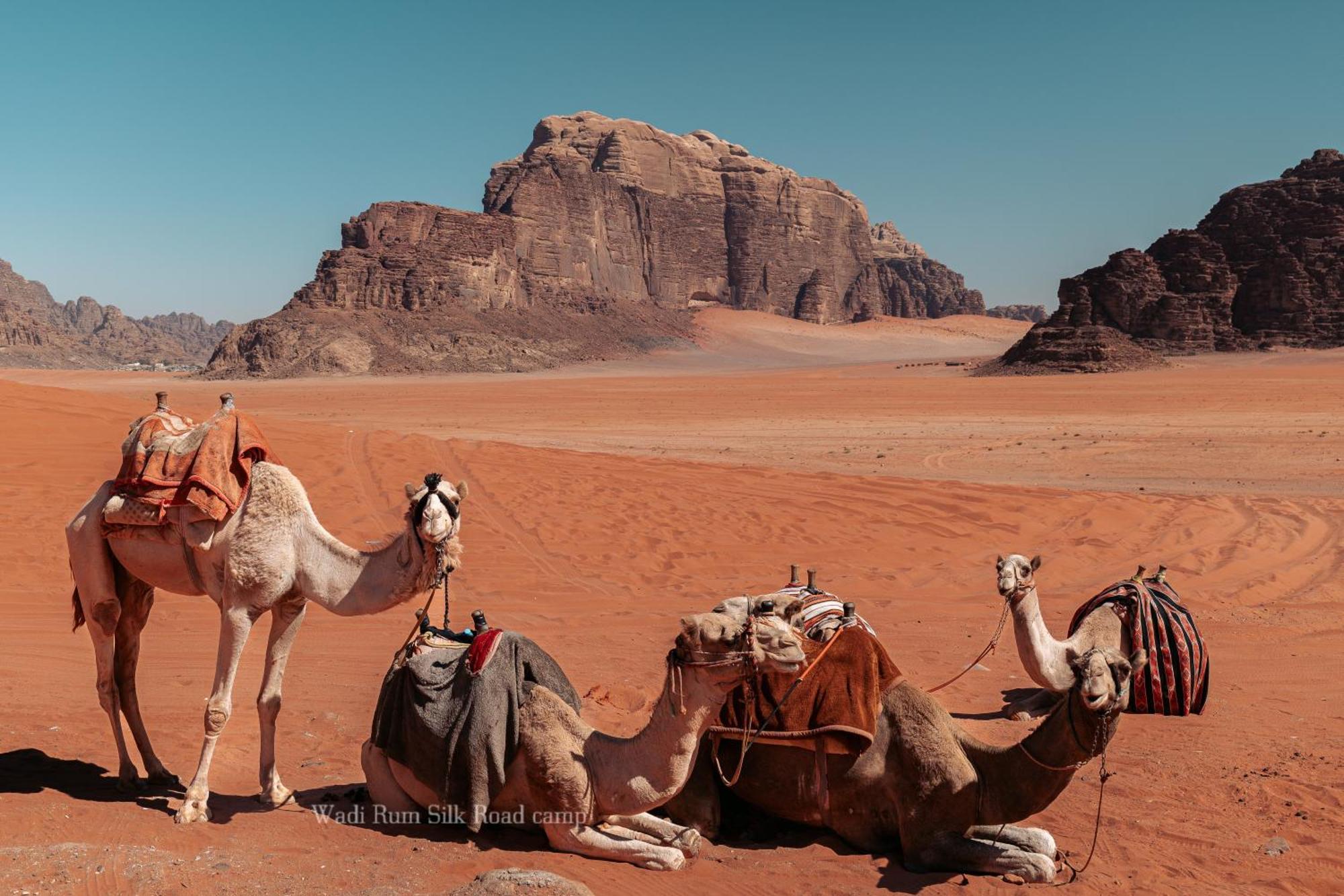 Wadi Rum Silk Road Camp Esterno foto