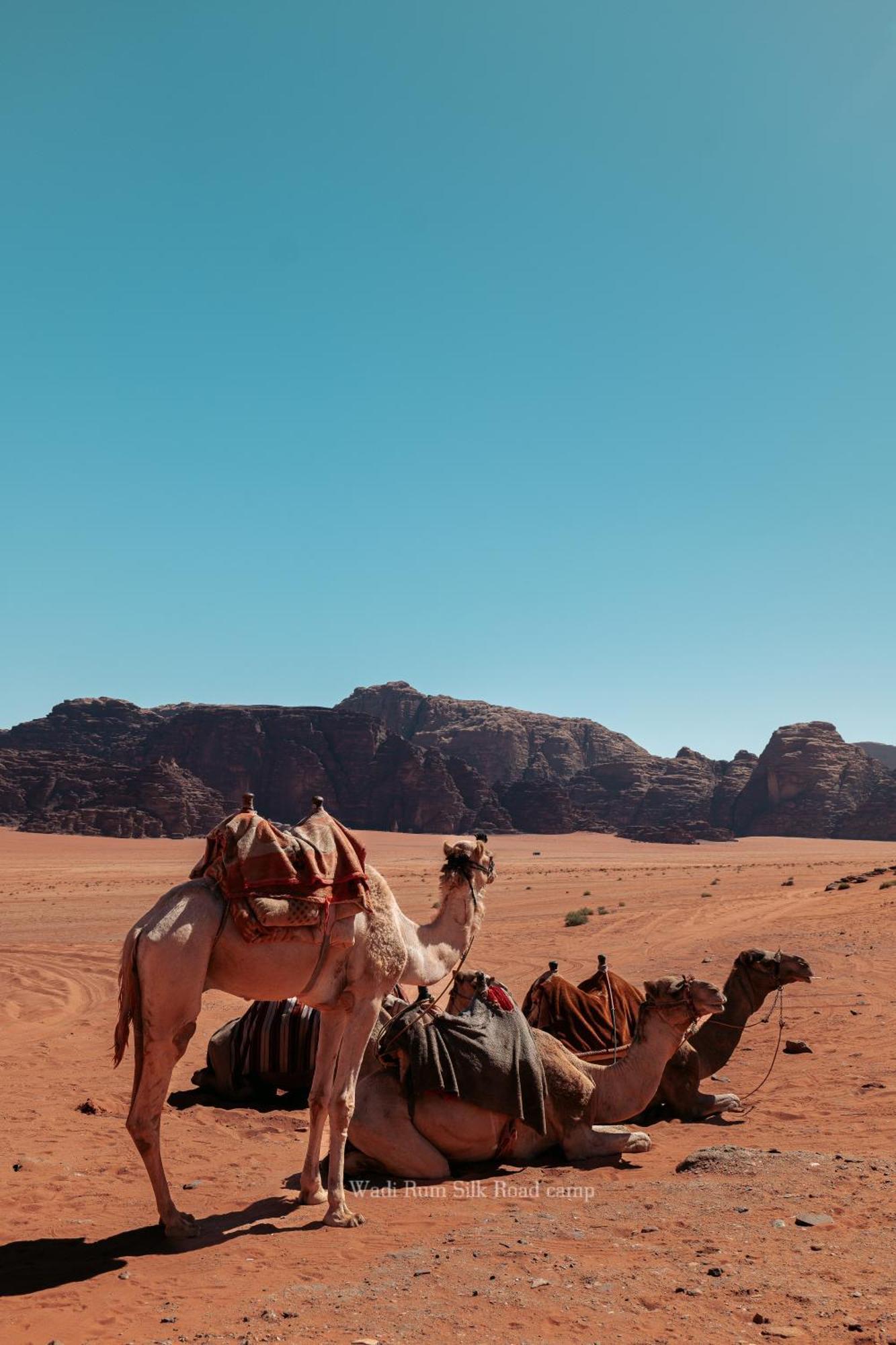Wadi Rum Silk Road Camp Esterno foto